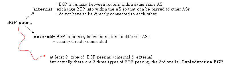BGP peers